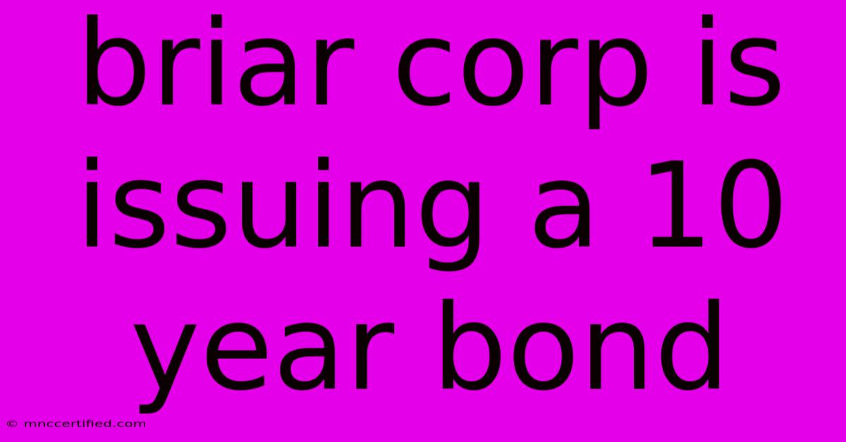 Briar Corp Is Issuing A 10 Year Bond