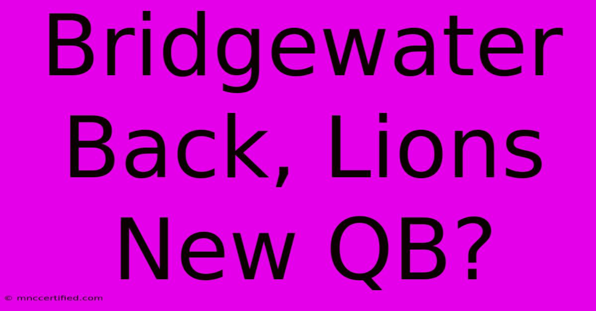 Bridgewater Back, Lions New QB?