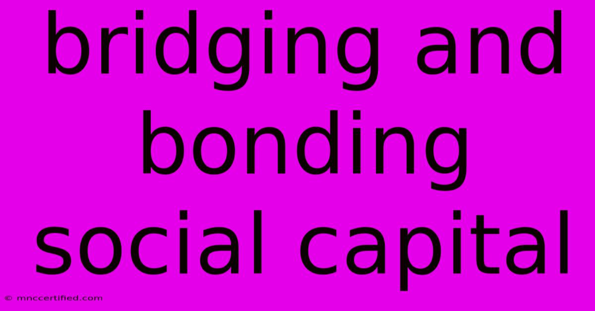 Bridging And Bonding Social Capital