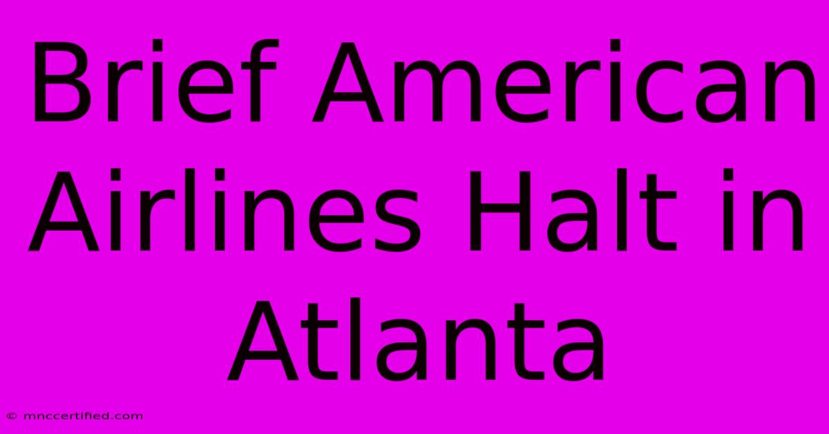 Brief American Airlines Halt In Atlanta