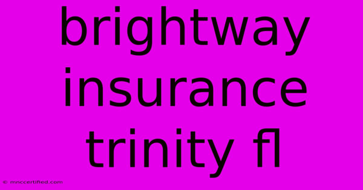 Brightway Insurance Trinity Fl