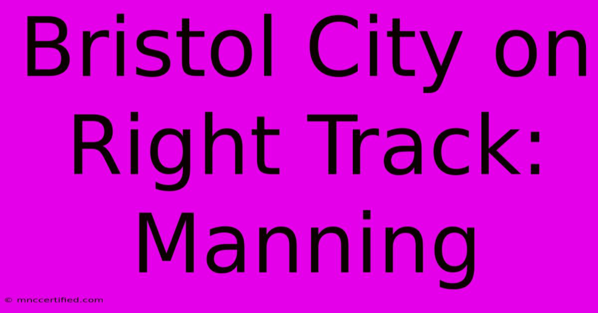 Bristol City On Right Track: Manning