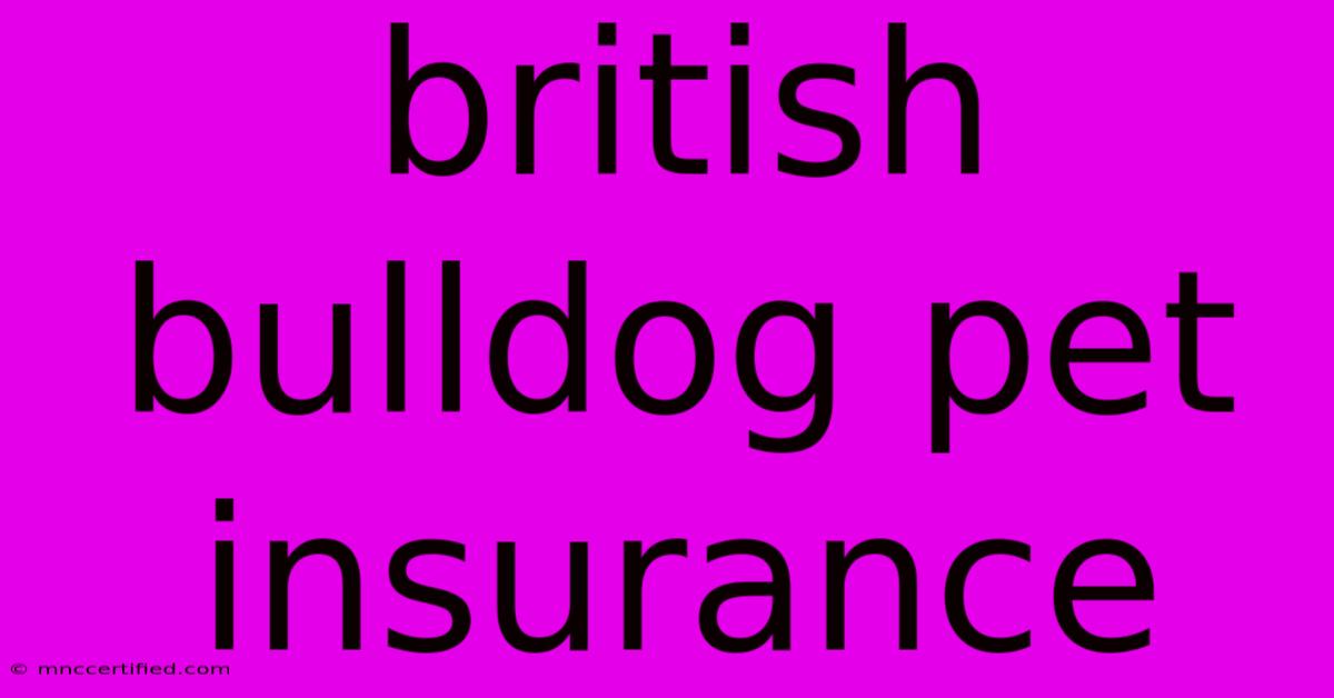 British Bulldog Pet Insurance