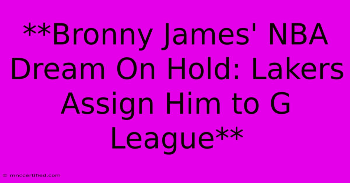 **Bronny James' NBA Dream On Hold: Lakers Assign Him To G League** 