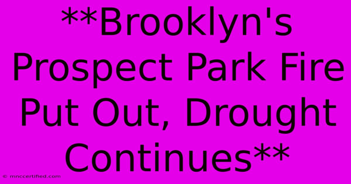 **Brooklyn's Prospect Park Fire Put Out, Drought Continues**