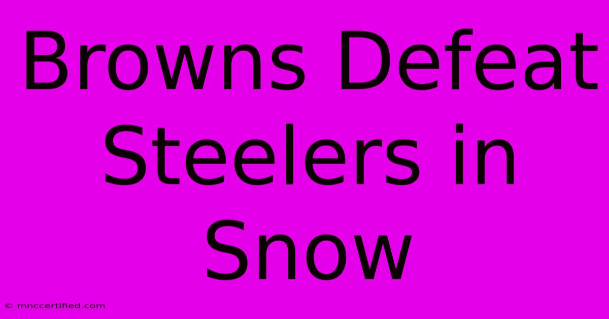 Browns Defeat Steelers In Snow