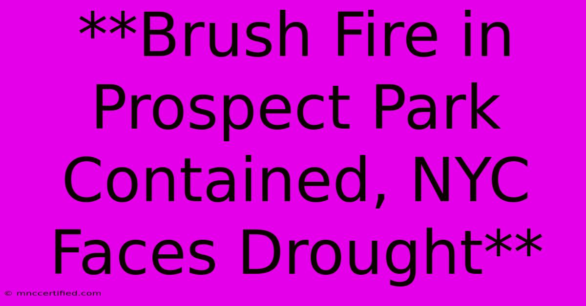 **Brush Fire In Prospect Park Contained, NYC Faces Drought**