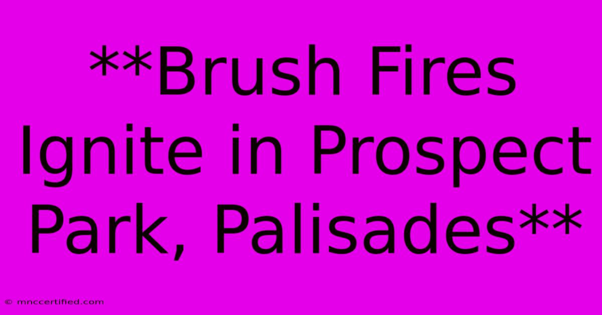 **Brush Fires Ignite In Prospect Park, Palisades**