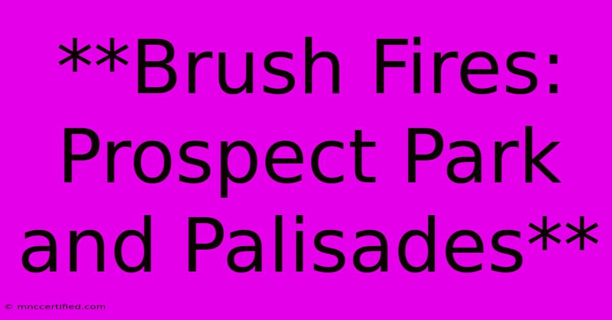 **Brush Fires: Prospect Park And Palisades**