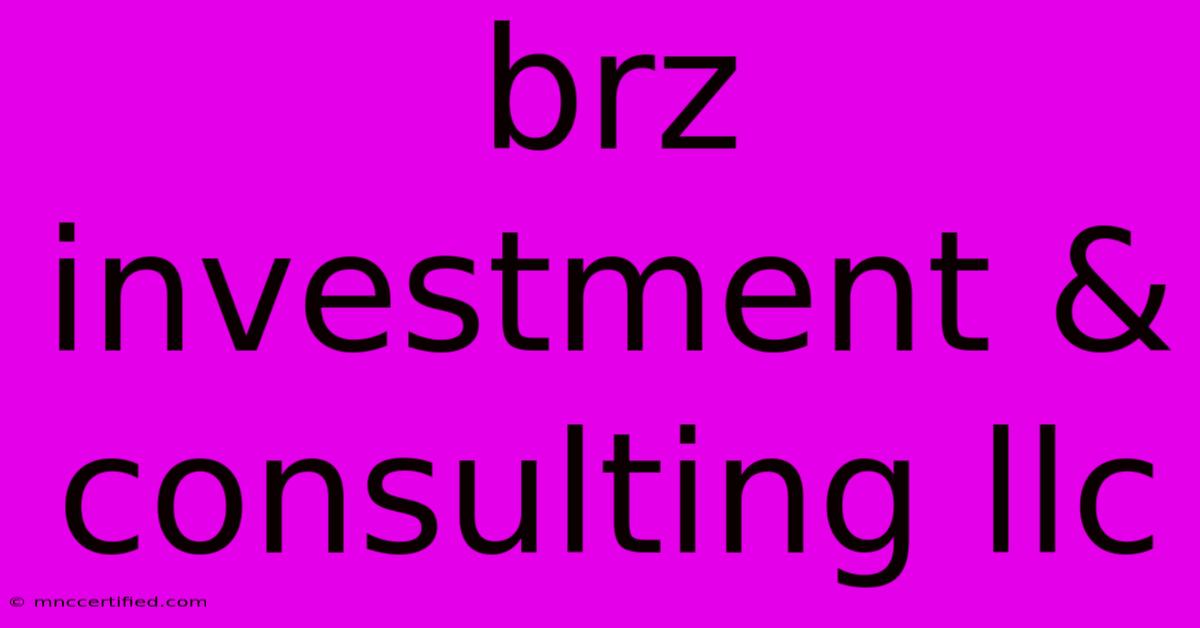 Brz Investment & Consulting Llc