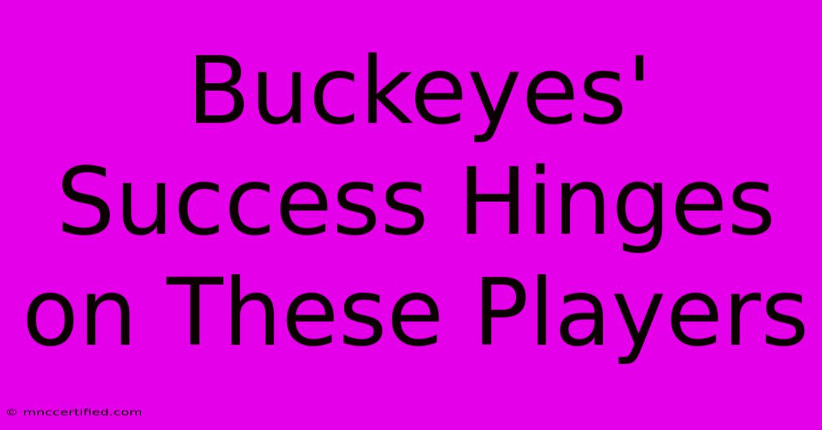 Buckeyes' Success Hinges On These Players