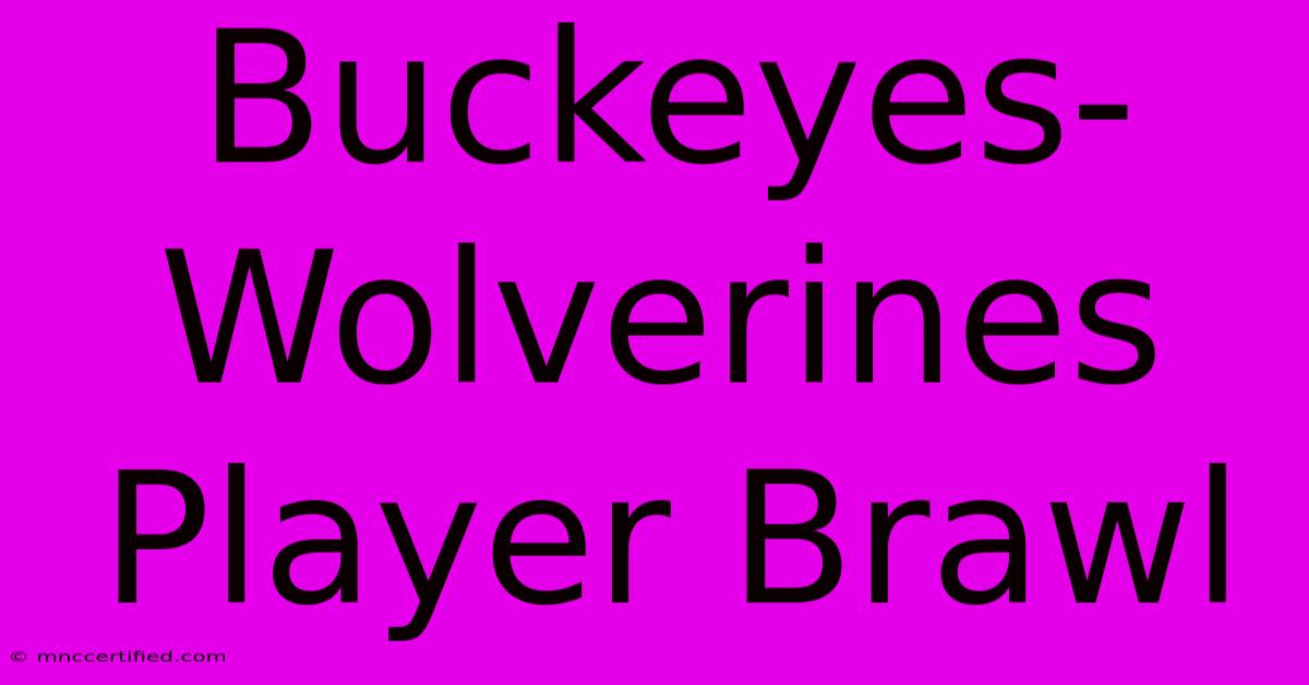 Buckeyes-Wolverines Player Brawl