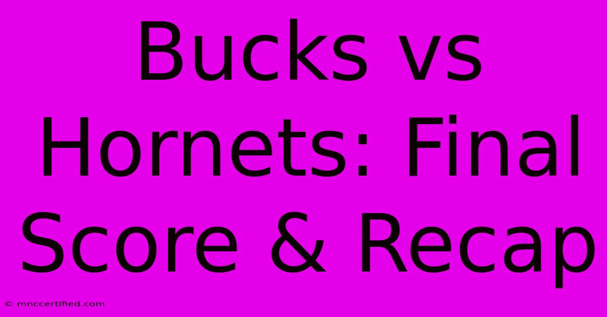 Bucks Vs Hornets: Final Score & Recap