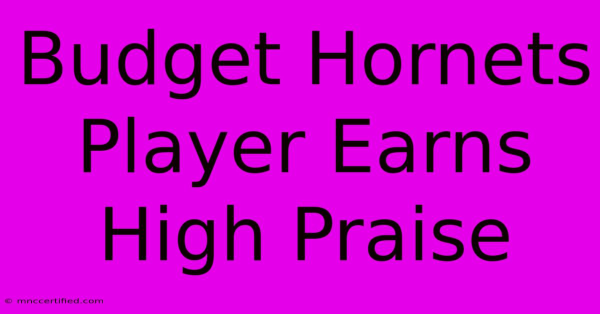 Budget Hornets Player Earns High Praise