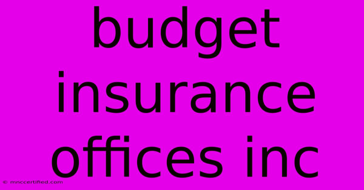 Budget Insurance Offices Inc