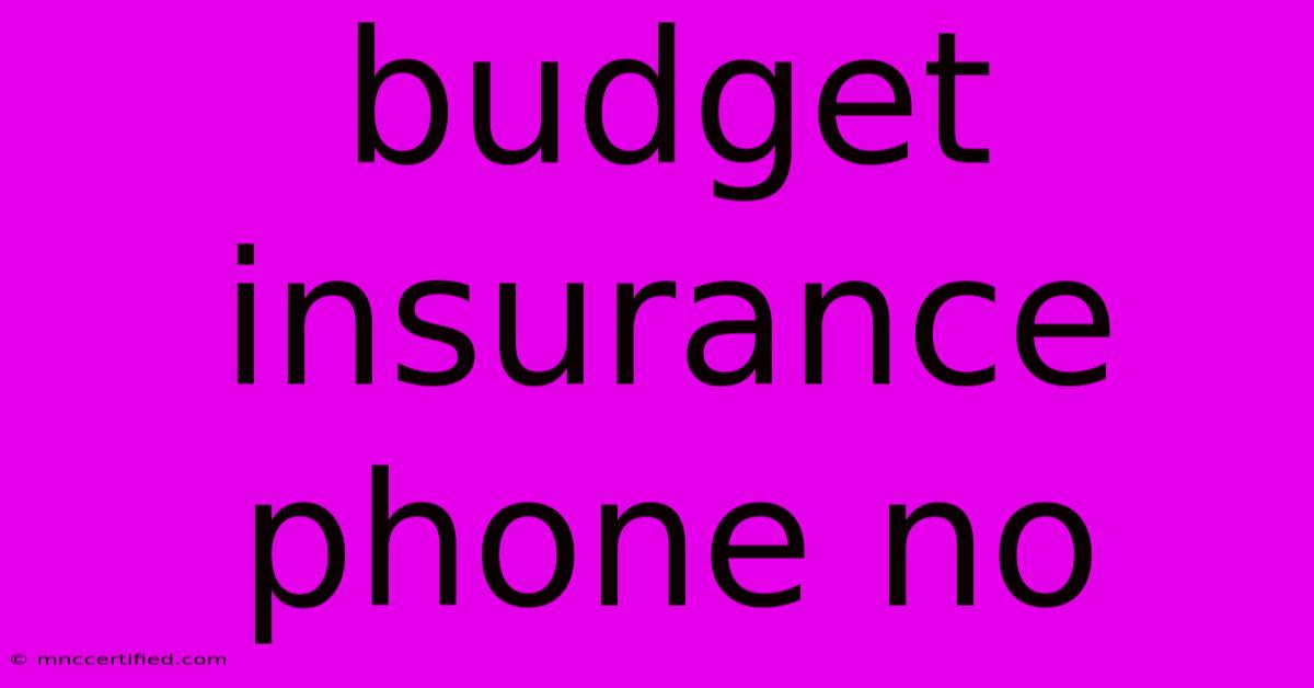 Budget Insurance Phone No