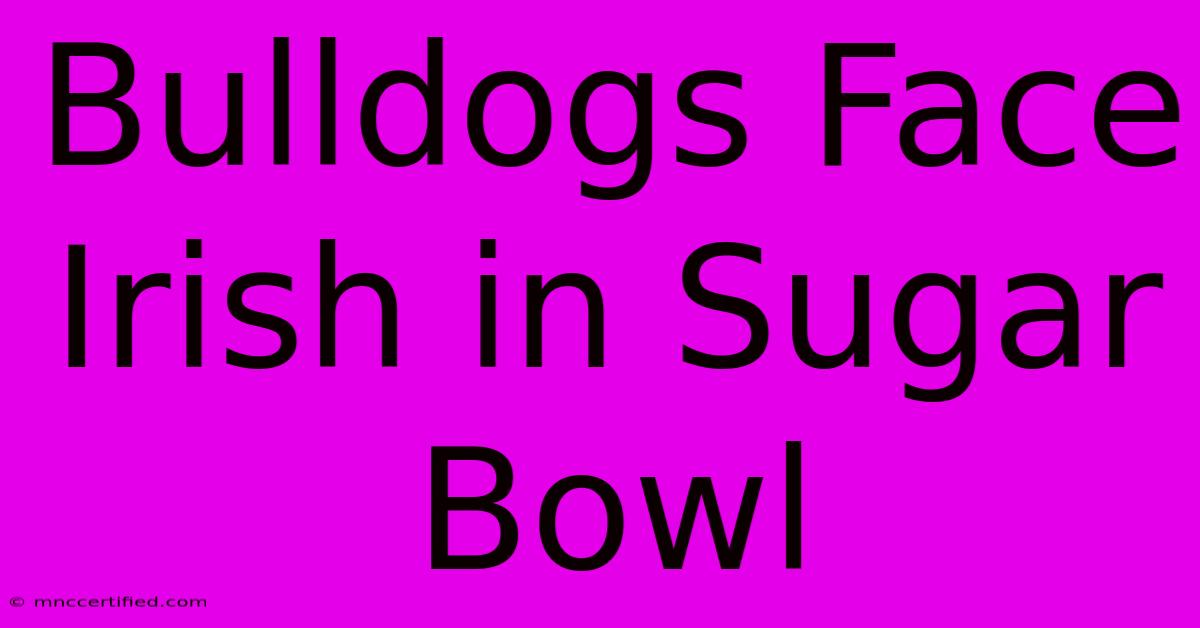 Bulldogs Face Irish In Sugar Bowl