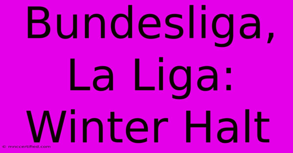 Bundesliga, La Liga: Winter Halt