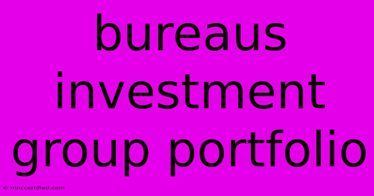 Bureaus Investment Group Portfolio