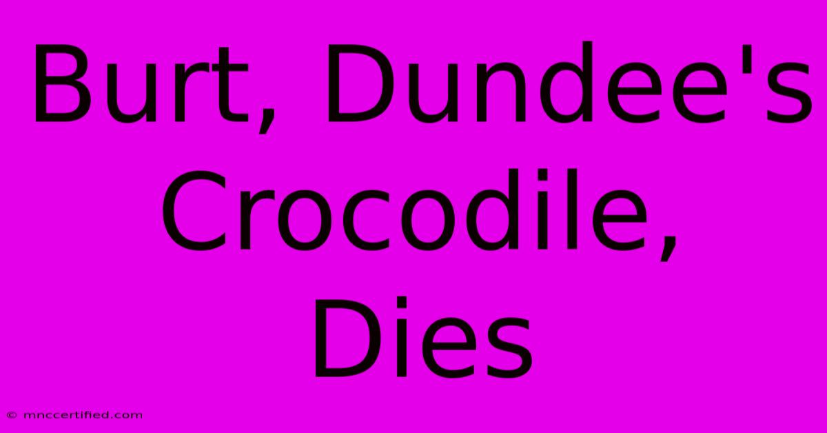 Burt, Dundee's Crocodile, Dies