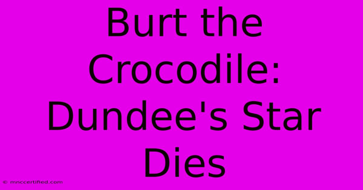 Burt The Crocodile: Dundee's Star Dies