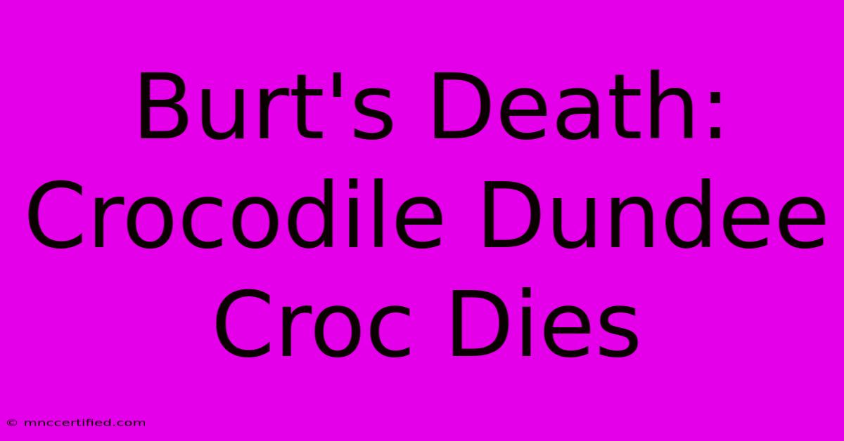 Burt's Death: Crocodile Dundee Croc Dies