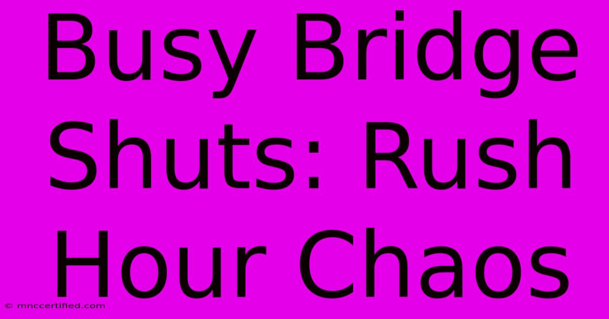 Busy Bridge Shuts: Rush Hour Chaos