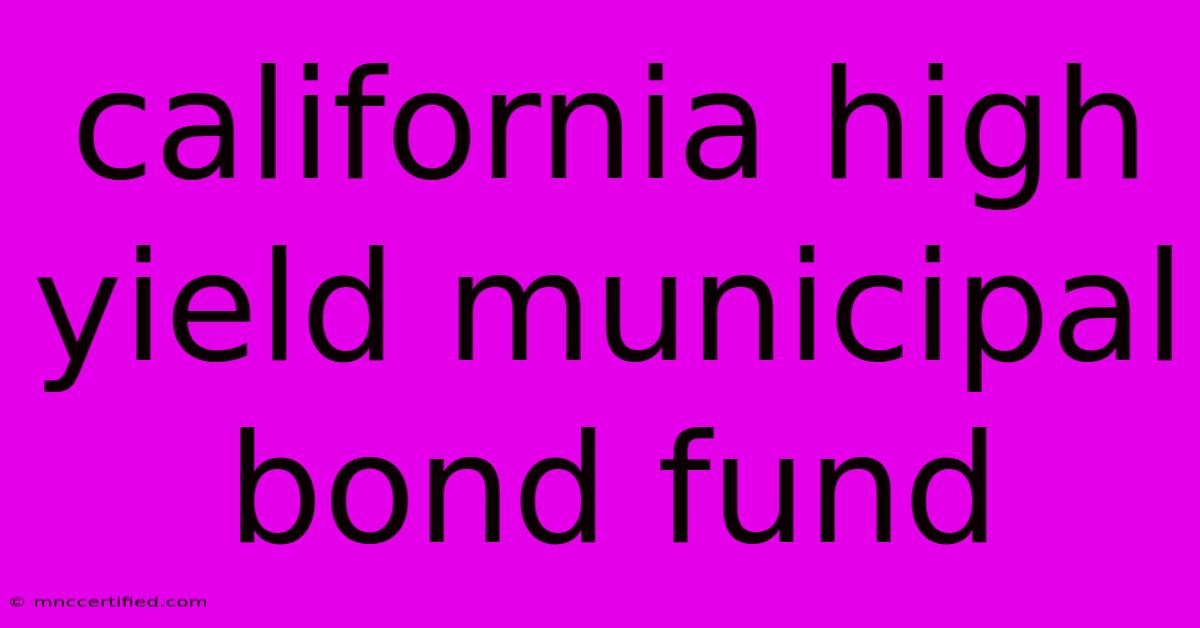 California High Yield Municipal Bond Fund