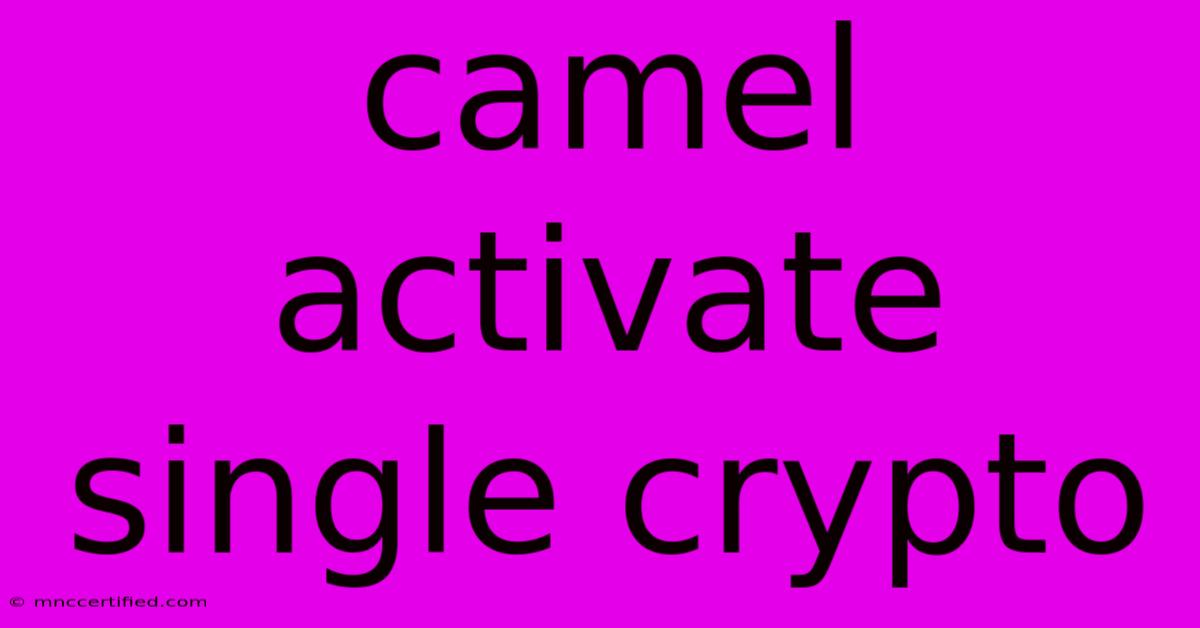 Camel Activate Single Crypto