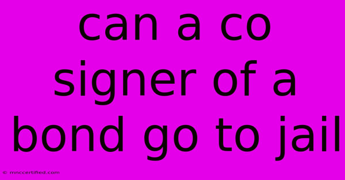 Can A Co Signer Of A Bond Go To Jail