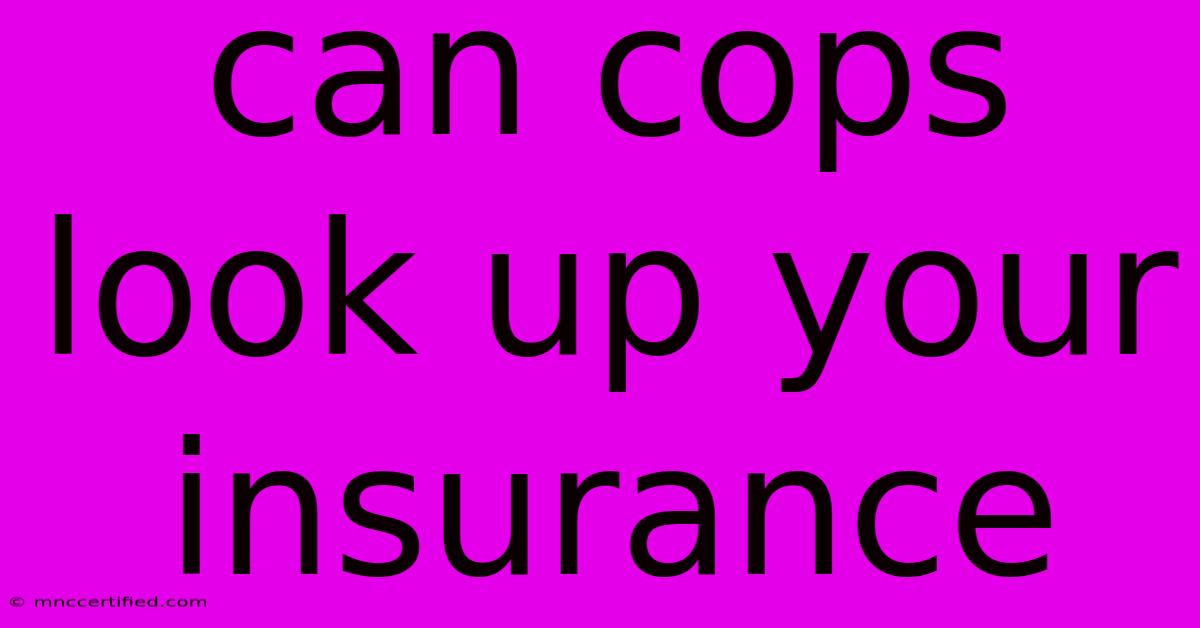 Can Cops Look Up Your Insurance