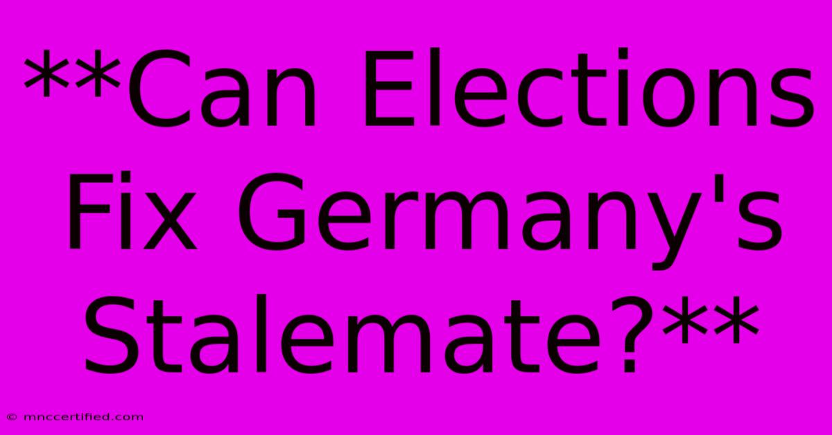 **Can Elections Fix Germany's Stalemate?**