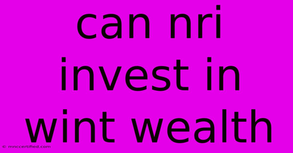 Can Nri Invest In Wint Wealth