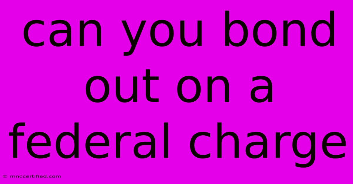 Can You Bond Out On A Federal Charge