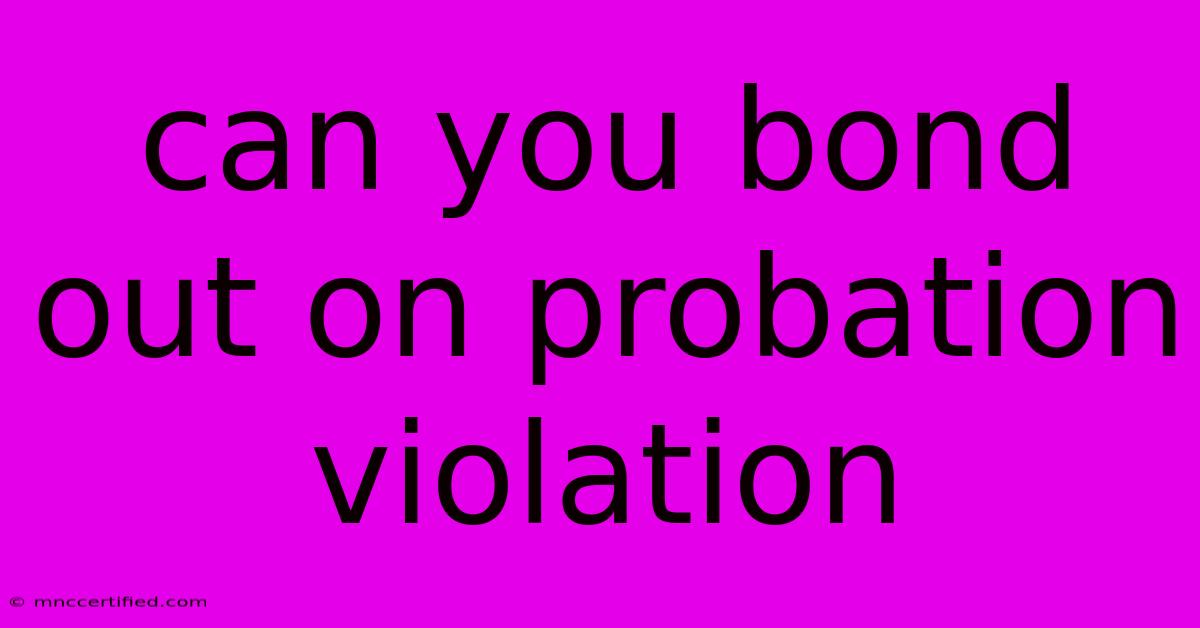 Can You Bond Out On Probation Violation