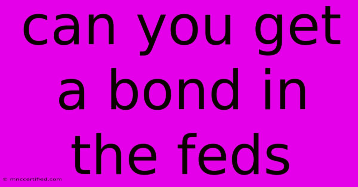 Can You Get A Bond In The Feds