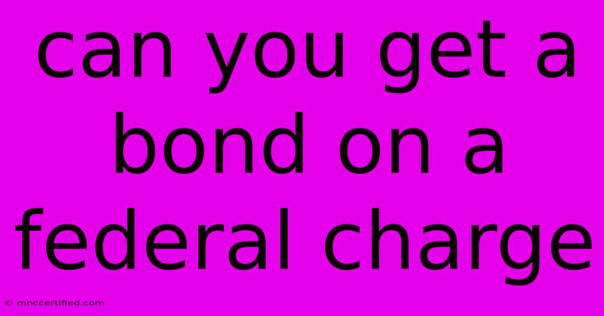 Can You Get A Bond On A Federal Charge