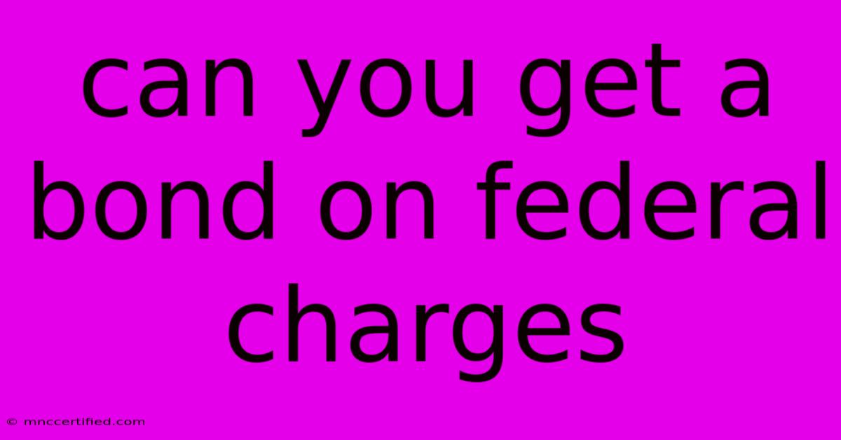 Can You Get A Bond On Federal Charges