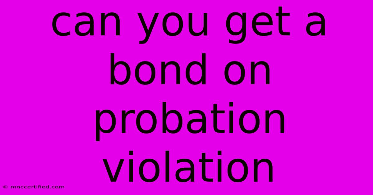 Can You Get A Bond On Probation Violation