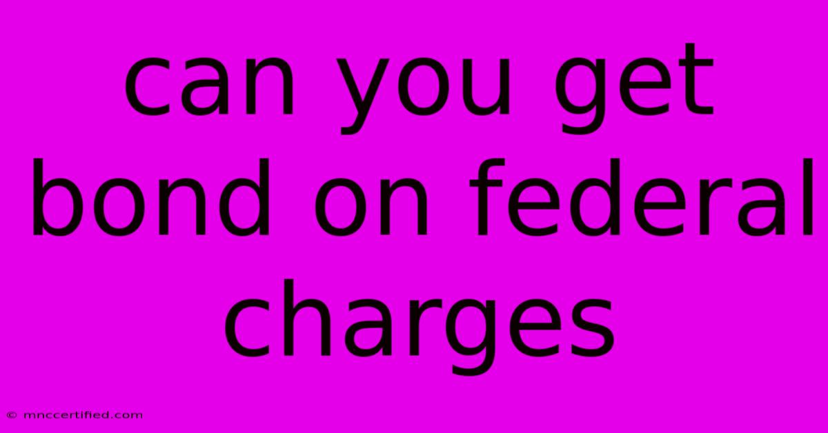 Can You Get Bond On Federal Charges