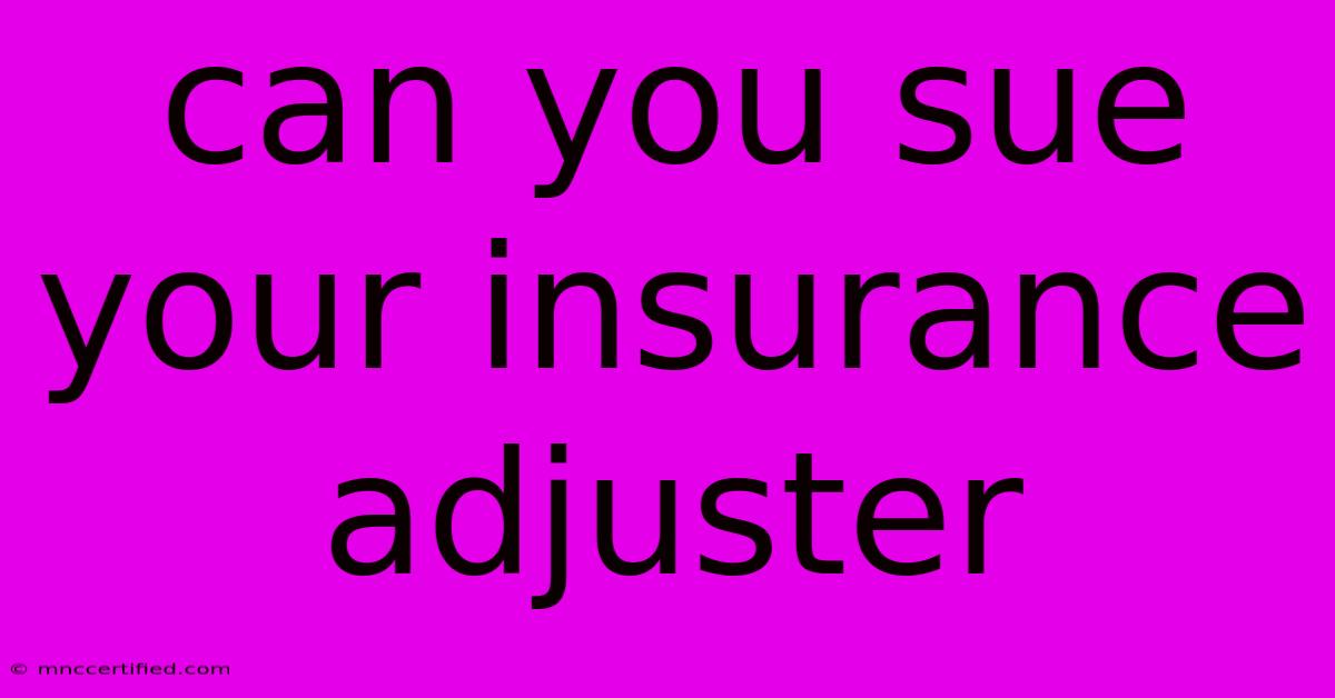 Can You Sue Your Insurance Adjuster