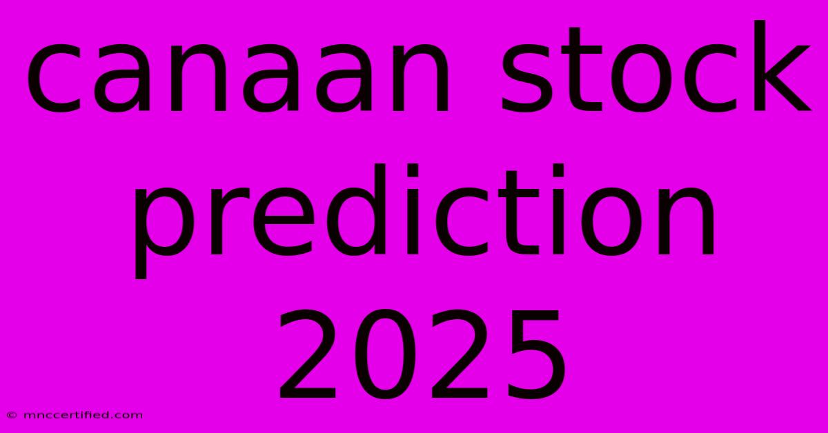 Canaan Stock Prediction 2025