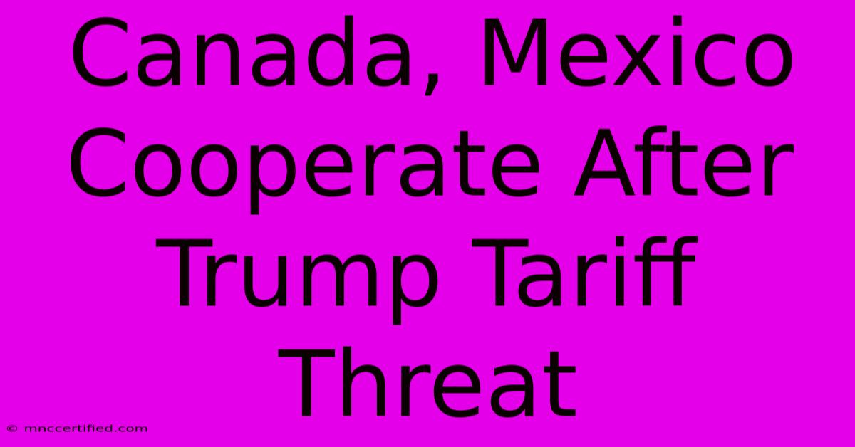 Canada, Mexico Cooperate After Trump Tariff Threat