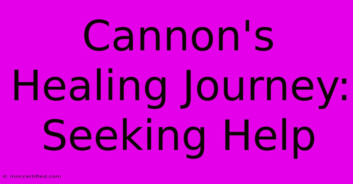 Cannon's Healing Journey: Seeking Help