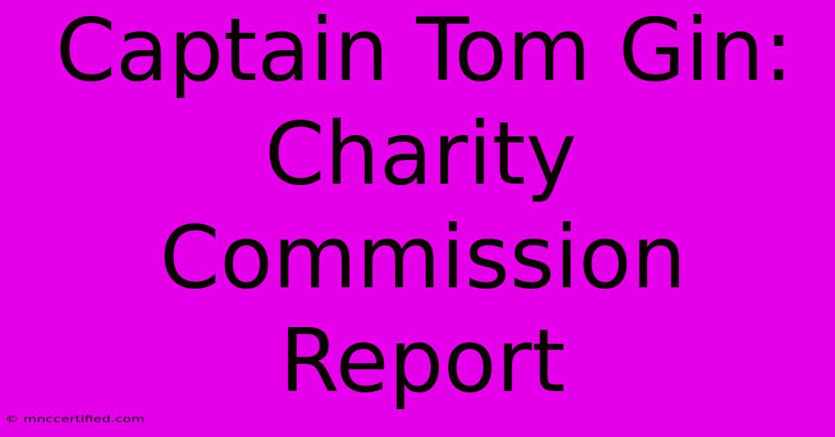 Captain Tom Gin: Charity Commission Report