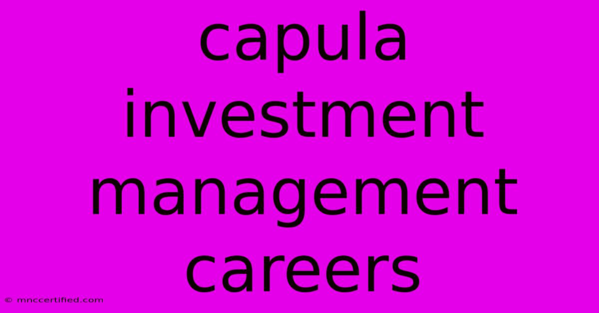 Capula Investment Management Careers