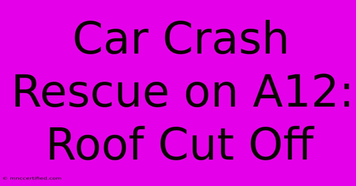 Car Crash Rescue On A12: Roof Cut Off