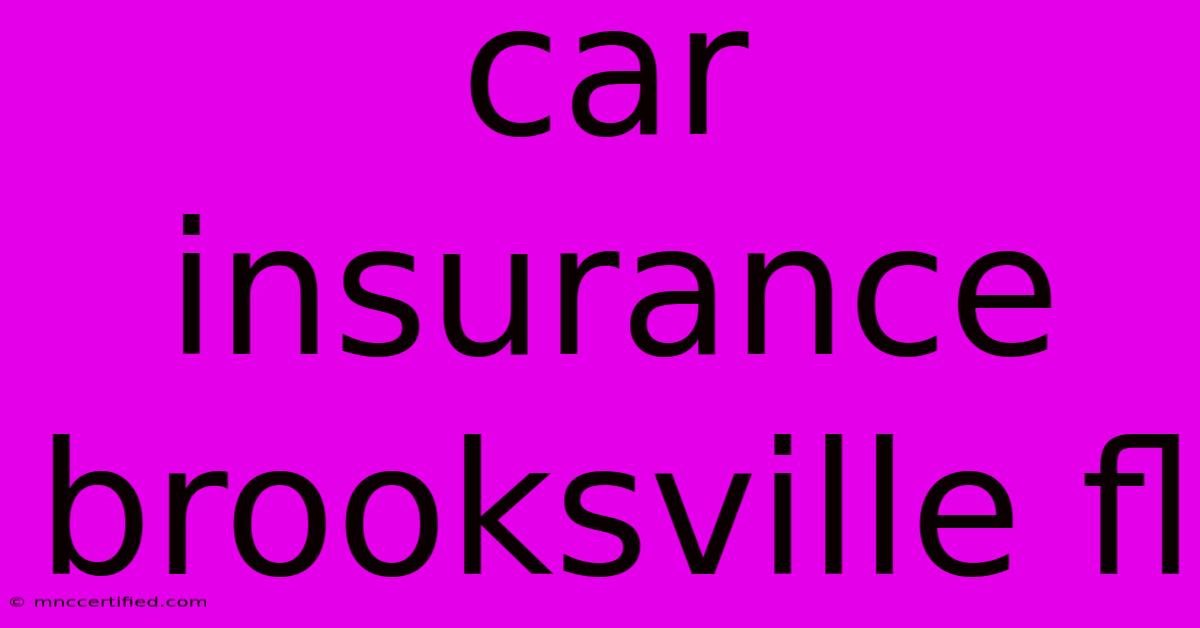 Car Insurance Brooksville Fl