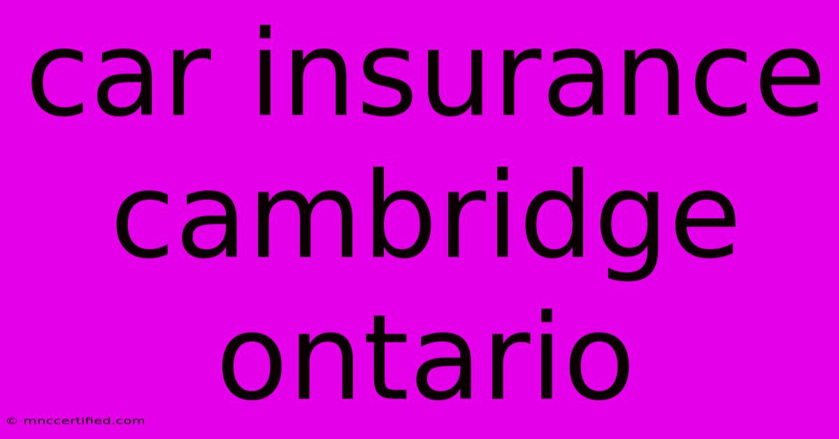 Car Insurance Cambridge Ontario