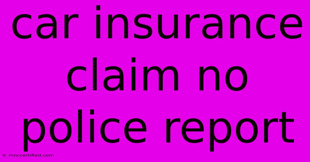 Car Insurance Claim No Police Report